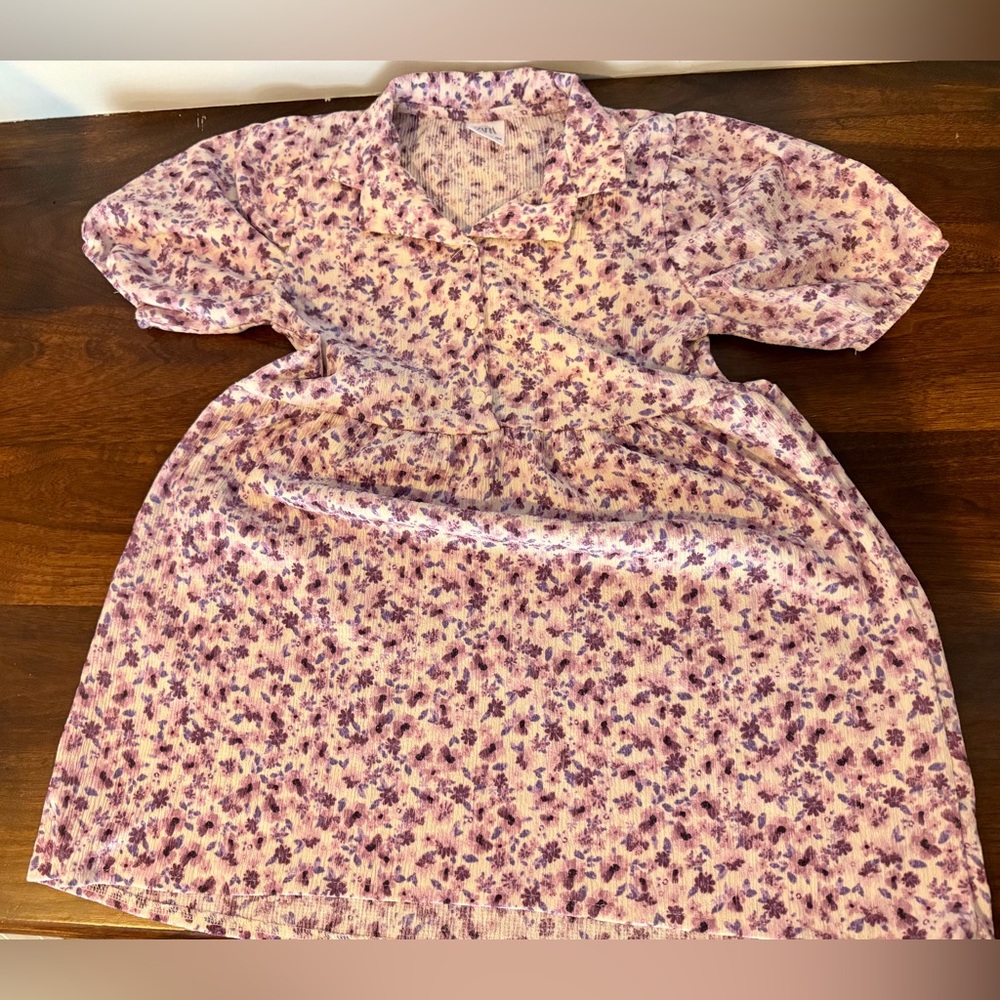 Zara Pink and Purple Floral Dress